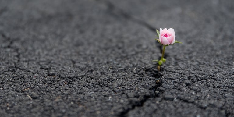3 ways Contrast helps to build digital resilience
