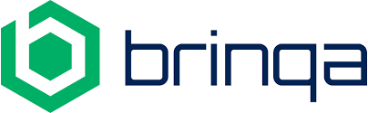 Brinqa_logo